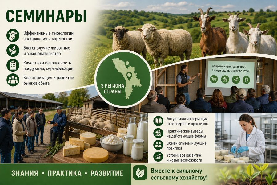 ЭФФЕКТИВНЫЕ ТЕХНОЛОГИИ В ОВЦЕВОДСТВЕ И КОЗОВОДСТВЕ ОБСУДЯТ НА СЕМИНАРАХ ДЛЯ ФЕРМЕРОВ