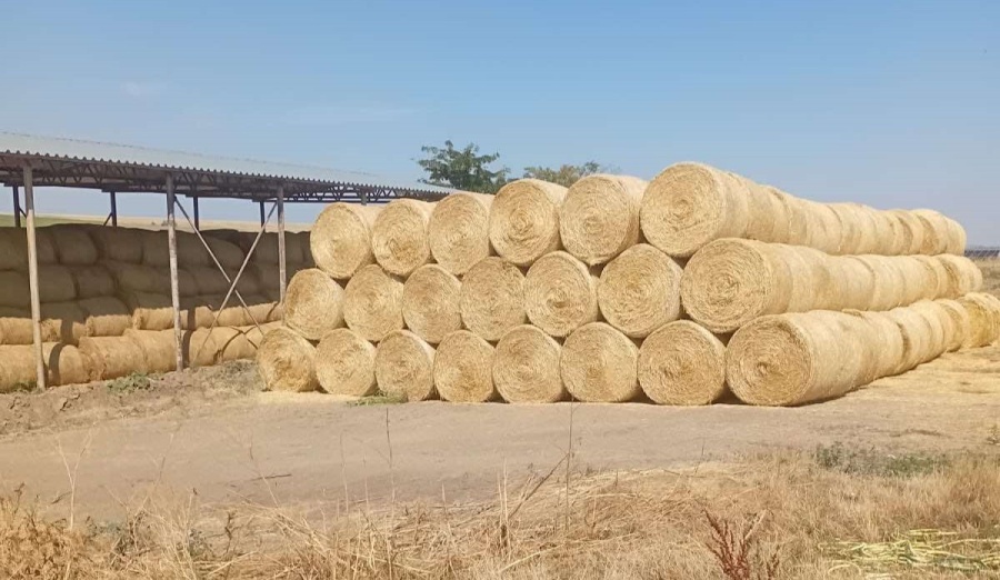 АГРОХОЗЯЙСТВА ЧАДЫР-ЛУНГСКОГО РАЙОНА ПОДДЕРЖАЛИ ПЛЕМЕННУЮ ФЕРМУ AT-PROLIN В ГАГАУЗИИ