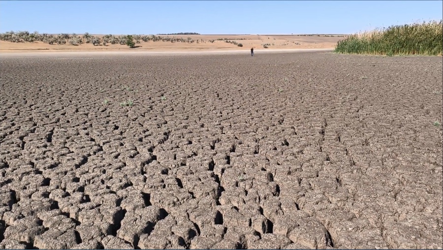 ВЫЕЗДНАЯ КОМИССИЯ ЗАФИКСИРОВАЛА ПОЛНОЕ ОБМЕЛЕНИЕ ВОДОЁМА В СЕЛЕ ДЕЗГИНЖА