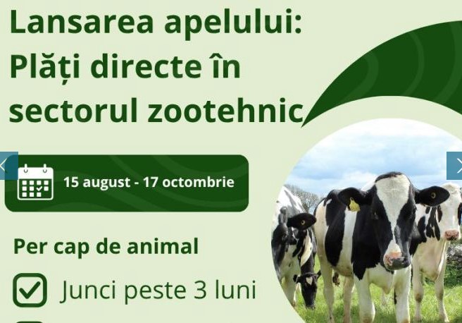 С 15 АВГУСТА AIPA ПРИНИМАЕТ ЗАЯВКИ НА ПРЯМЫЕ ВЫПЛАТЫ В ЖИВОТНОВОДЧЕСКОМ СЕКТОРЕ 