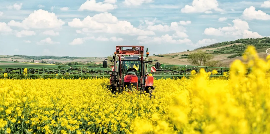 В ГАГАУЗИИ СЛОЖИЛИСЬ БЛАГОПРИЯТНЫЕ УСЛОВИЯ ДЛЯ ПОСЕВА РАПСА. РЕКОМЕНДАЦИИ И ПРОГНОЗЫ.