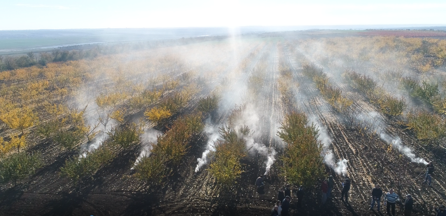 ДЕМОНСТРАЦИЯ СРЕДСТВ ЗАЩИТЫ ОТ ЗАМОРОЗКА