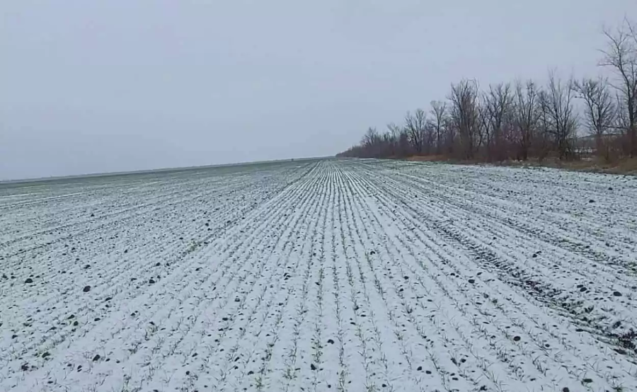 ОТРИЦАТЕЛЬНЫЕ ТЕМПЕРАТУРЫ НЕ ПРИВЕЛИ К ЗНАЧИТЕЛЬНЫМ ПОВРЕЖДЕНИЯМ СЕЛЬСКОХОЗЯЙСТВЕННЫХ УГОДИЙ