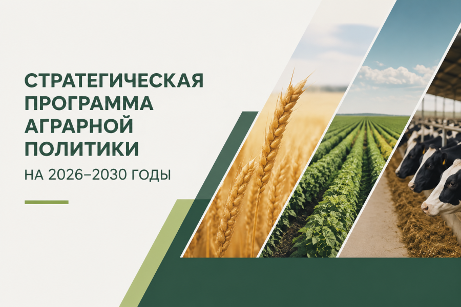 СТРАТЕГИЧЕСКАЯ ПРОГРАММА АГРАРНОЙ ПОЛИТИКИ НА 2026–2030 ГОДЫ