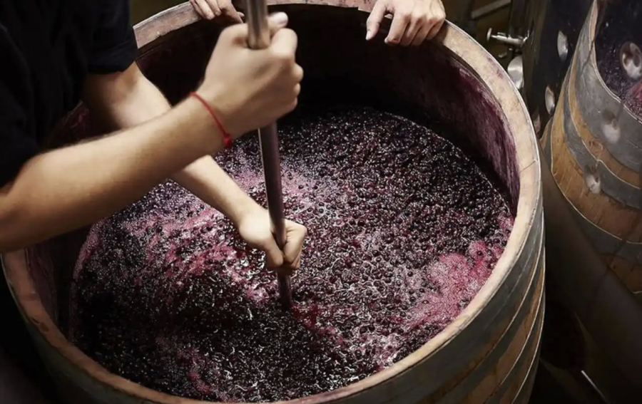 КАК ИЗБЕЖАТЬ ОТРАВЛЕНИЯ CO₂ ПРИ ДОМАШНЕМ ВИНОДЕЛИИ