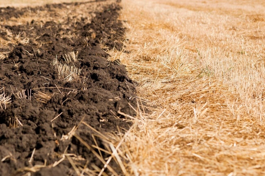 МЕРЫ ПО ОХРАНЕ ЛЕСНЫХ УГОДИЙ ВО ВРЕМЯ СЕЛЬСКОХОЗЯЙСТВЕННЫХ РАБОТ