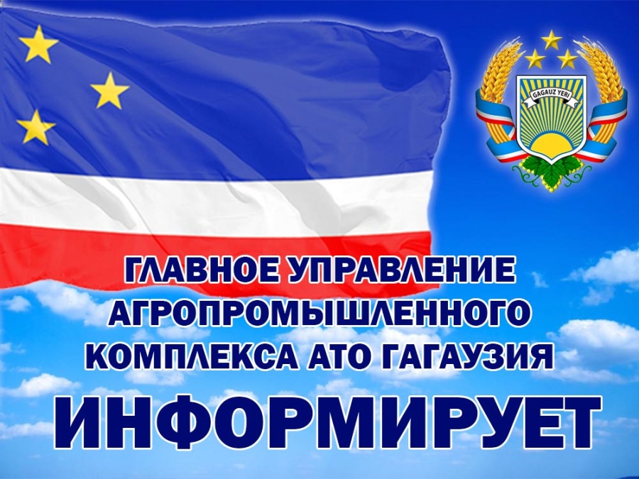 ОБЪЯВЛЕНИЕ КОНКУРСА НА ЗАМЕЩЕНИЕ ВАКАНТНОЙ ДОЛЖНОСТИ УПРАВЛЯЮЩЕГО ПУБЛИЧНОГО УЧРЕЖДЕНИЕ "ФЕРМА ПО ВЫРАЩИВАНИЮ ПЛЕМЕННЫХ ЛОШАДЕЙ <AT-PROLIN>"