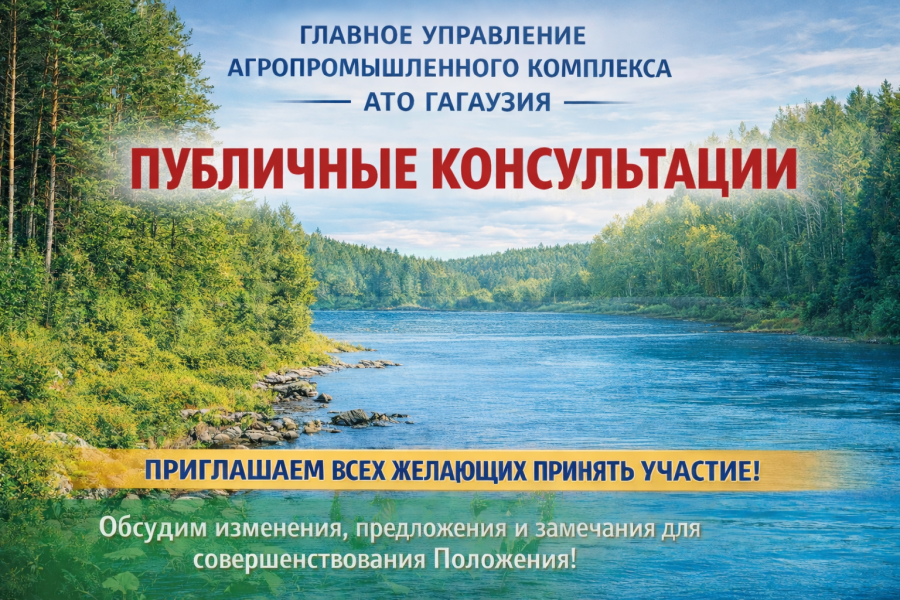 ПУБЛИЧНЫЕ КОНСУЛЬТАЦИИ ПО ПРОЕКТУ ПОЛОЖЕНИЯ