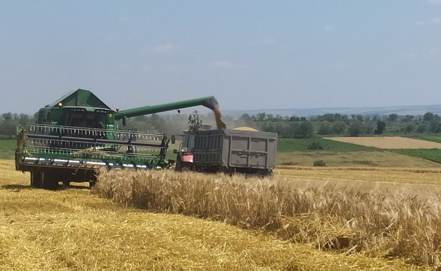 ГОРЯЧАЯ ЛИНИЯ ДЛЯ АГРОХОЗЯЙСТВ ГАГАУЗИИ