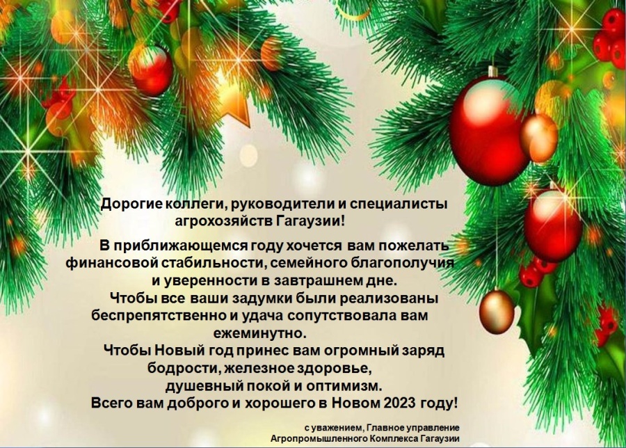 С НАСТУПАЮЩИМ НОВЫМ ГОДОМ!