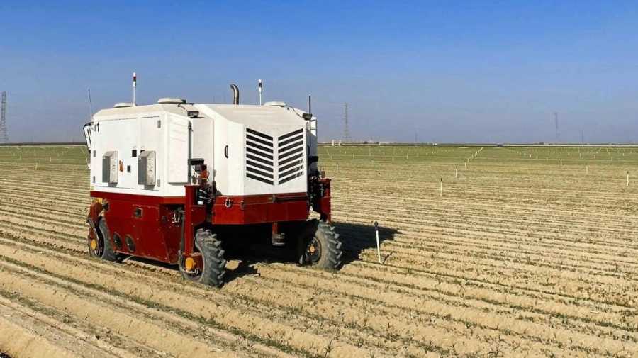 БОРЬБА С УСТОЙЧИВЫМИ СОРНЯКАМИ ДИОДНЫМ ЛАЗЕРОМ