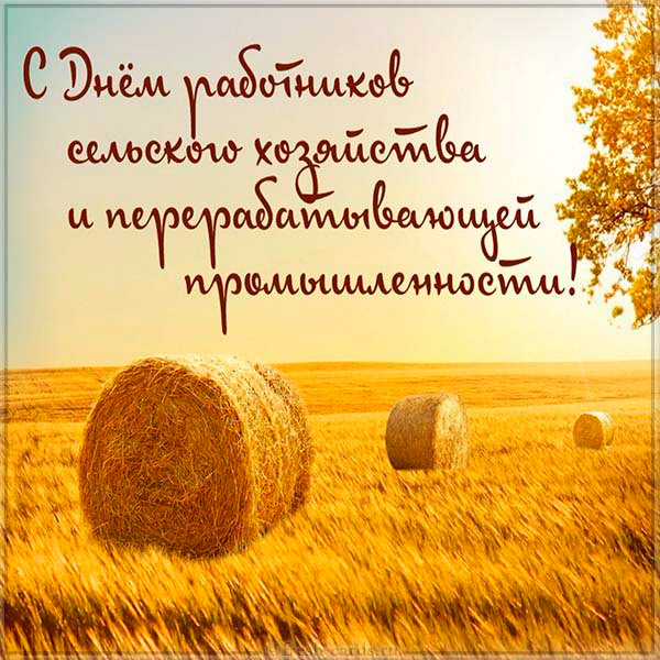 С ДНЕМ РАБОТНИКОВ СЕЛЬСКОГО ХОЗЯЙСТВА И ПЕРЕРАБАТЫВАЮЩЕЙ ПРОМЫШЛЕННОСТИ