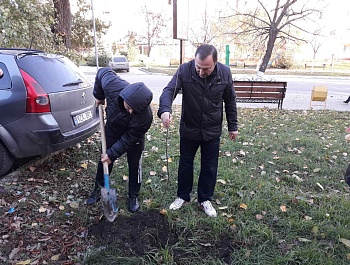 В ЧЕСТЬ ОБЩЕНАЦИОНАЛЬНОЙ АКЦИИ "ДРЕВО НАШЕГО ДОЛГОЛЕТИЯ" КОЛЛЕКТИВОМ ГЛАВНОГО УПРАВЛЕНИЯ АГРОПРОМЫШЛЕННОГО КОМПЛЕКСА ГАГАУЗИИ БЫЛИ ВЫСАЖЕНЫ ДЕРЕВЬЯ