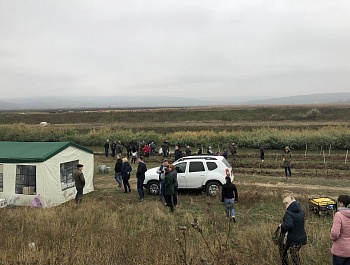 СПЕЦИАЛИСТЫ СЛУЖБЫ ЭКОЛОГИИ И ВОДНЫХ РЕСУРСОВ ГУАПК ГАГАУЗИИ ПРИНЯЛИ УЧАСТИЕ В ПОСАДКЕ 4 000 САЖЕНЦЕВ ДЛЯ ВОССТАНОВЛЕНИЯ ЗАЩИТНОЙ ПОЛОСЫ РЕКИ РЕУТ 