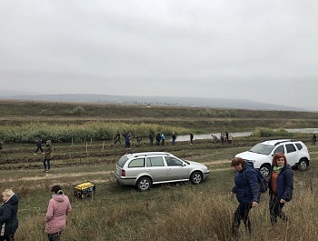 СПЕЦИАЛИСТЫ СЛУЖБЫ ЭКОЛОГИИ И ВОДНЫХ РЕСУРСОВ ГУАПК ГАГАУЗИИ ПРИНЯЛИ УЧАСТИЕ В ПОСАДКЕ 4 000 САЖЕНЦЕВ ДЛЯ ВОССТАНОВЛЕНИЯ ЗАЩИТНОЙ ПОЛОСЫ РЕКИ РЕУТ 